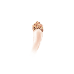 LEREHAUSSEURD_ECLAT.png